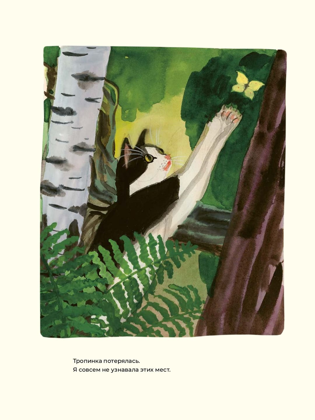 Сара Лундберг. Прогулка с кошкой Сара Лундберг. Прогулка с кошкой