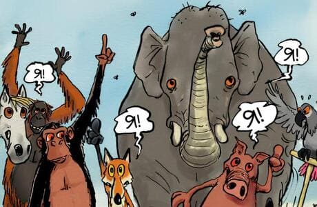 Нечеловеческая сообразительность: отрывок из книги Жиля Маканьо «Самое умное животное на Земле»