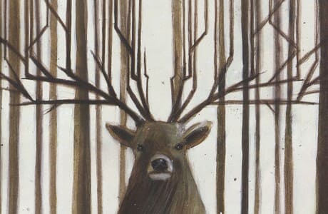 Даниэла Парески. Диковинные животные