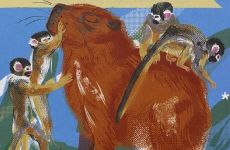 Анна Новиковская. Вот так капибара