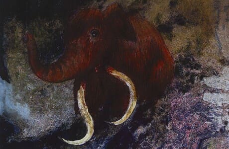 Михаил Канев. Арктическая одиссея