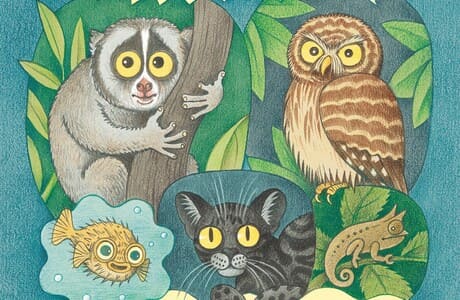 Как видят животные: отрывок из книги Лены Анлауф и Виталия Константинова «Гениальные глаза»