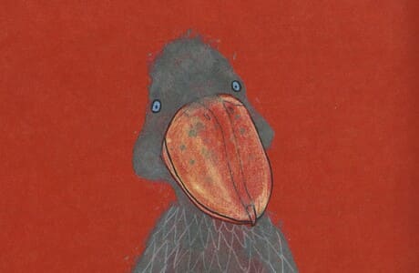 Биби Дюмон Так. Сегодня я расскажу вам об анаконде