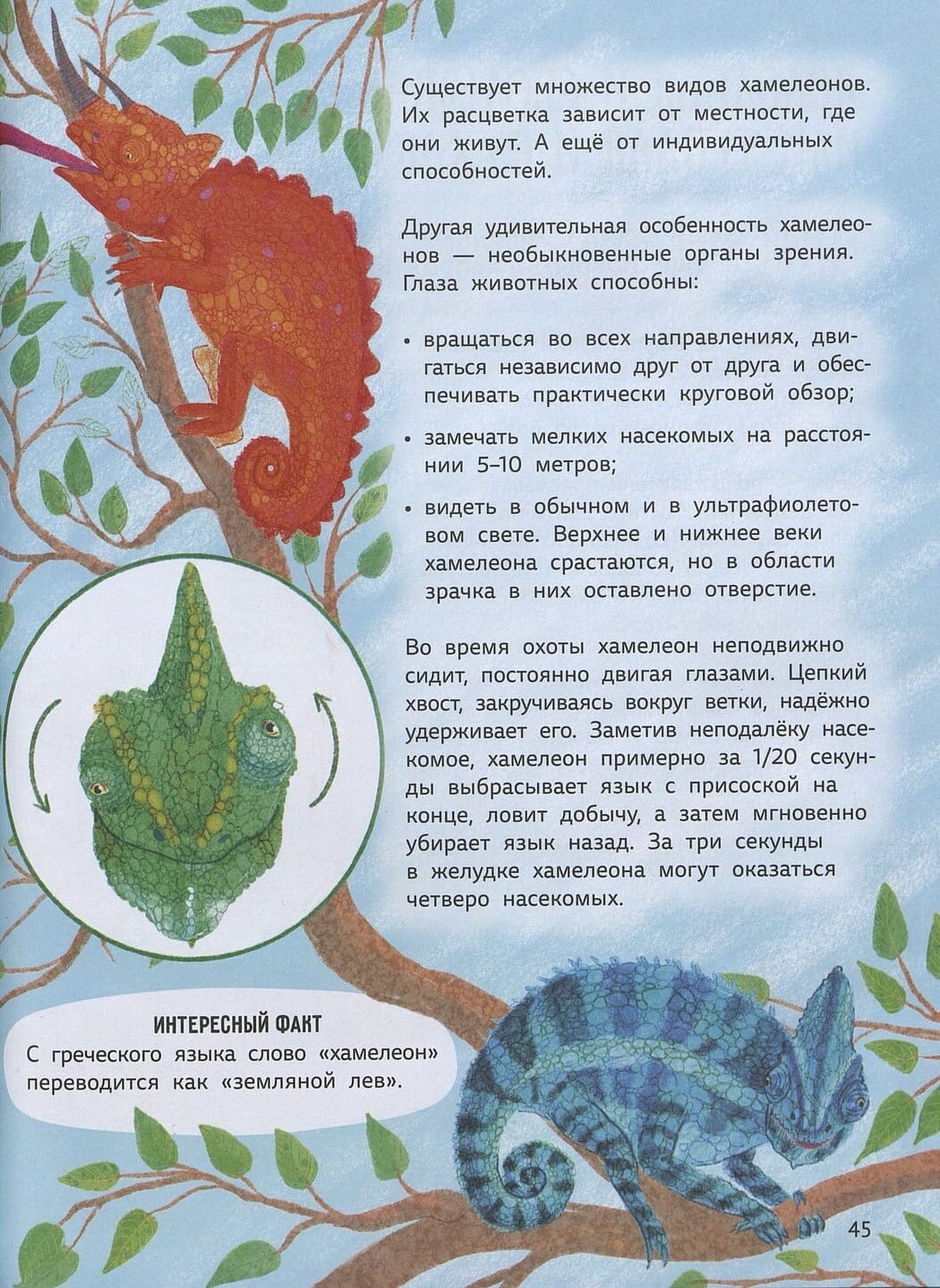 Ольга Дылдина. Мифы о животных Ольга Дылдина. Мифы о животных