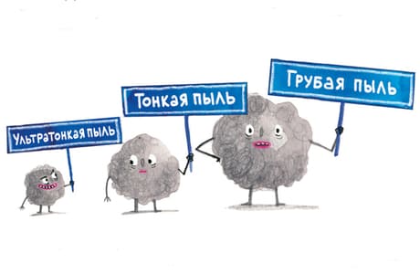 Вредная и необходимая: отрывок из книги Зильке Шлихтман и Майи Бон «Пыль»