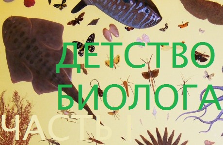 ДЕТСТВО БИОЛОГА: часть I