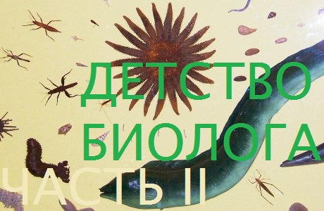 ДЕТСТВО БИОЛОГА: часть II