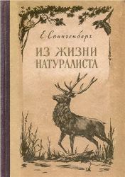 kvartalnov spangenberg