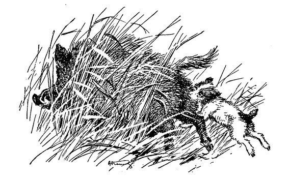 kvartalnov spangenberg2