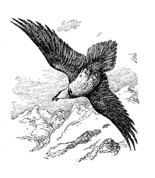 kvartalnov spangenberg3