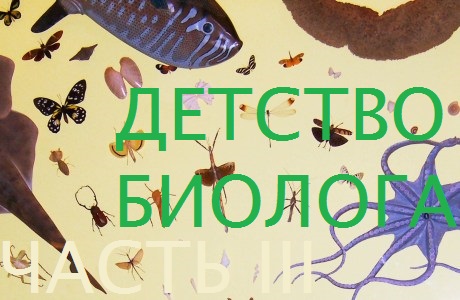 ДЕТСТВО БИОЛОГА: часть III