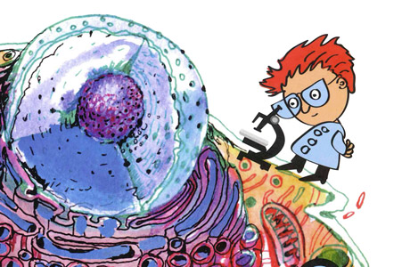 МИР ПОД МИКРОСКОПОМ