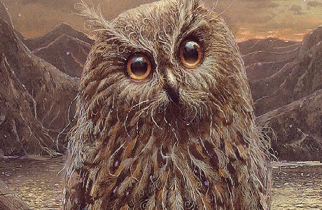 5 книг недели