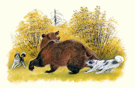 5 книг недели