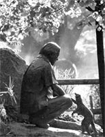 Памятник Джеральду Дарреллу в Джерсийском зоопарке. Фотография