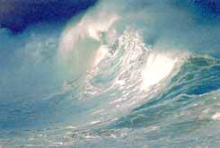 Волна, порожденная тропическим циклоном